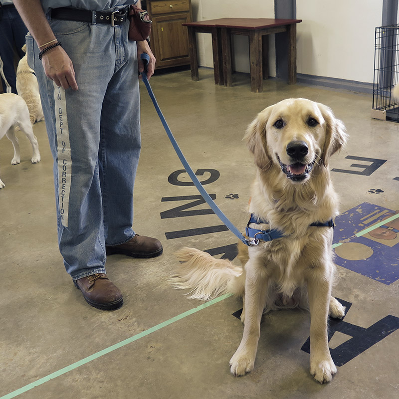 retrieving independence - inmate training