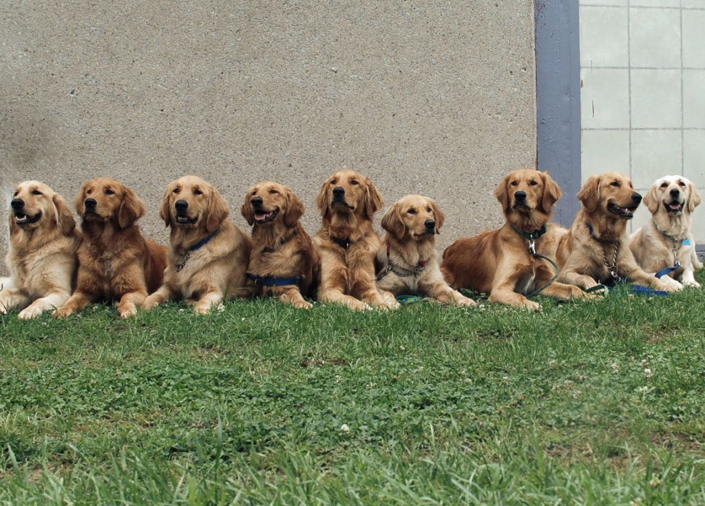 retrieving independence - what we do