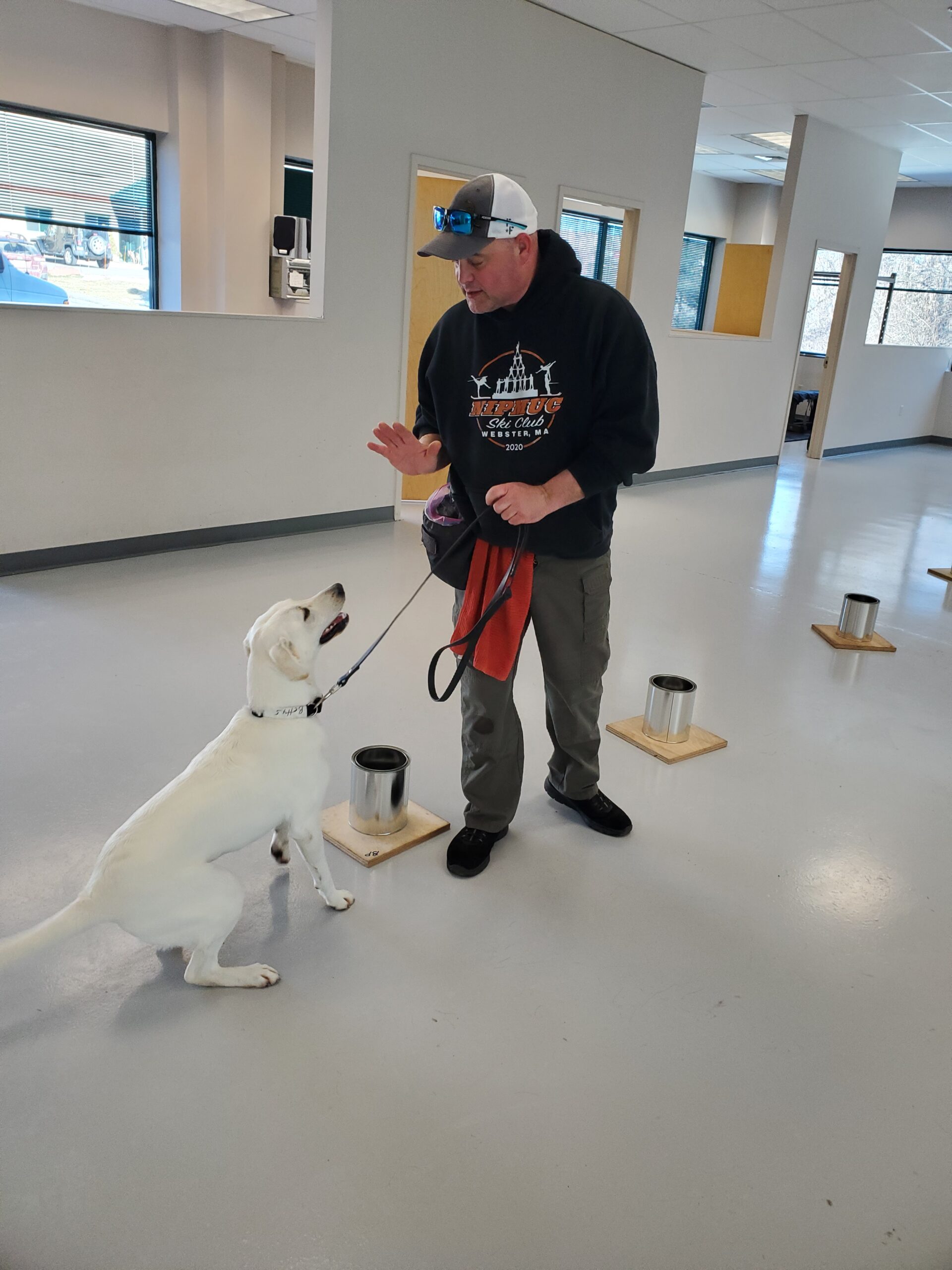 Tails of Transformation: Betty & Millie - Retrieving Independence