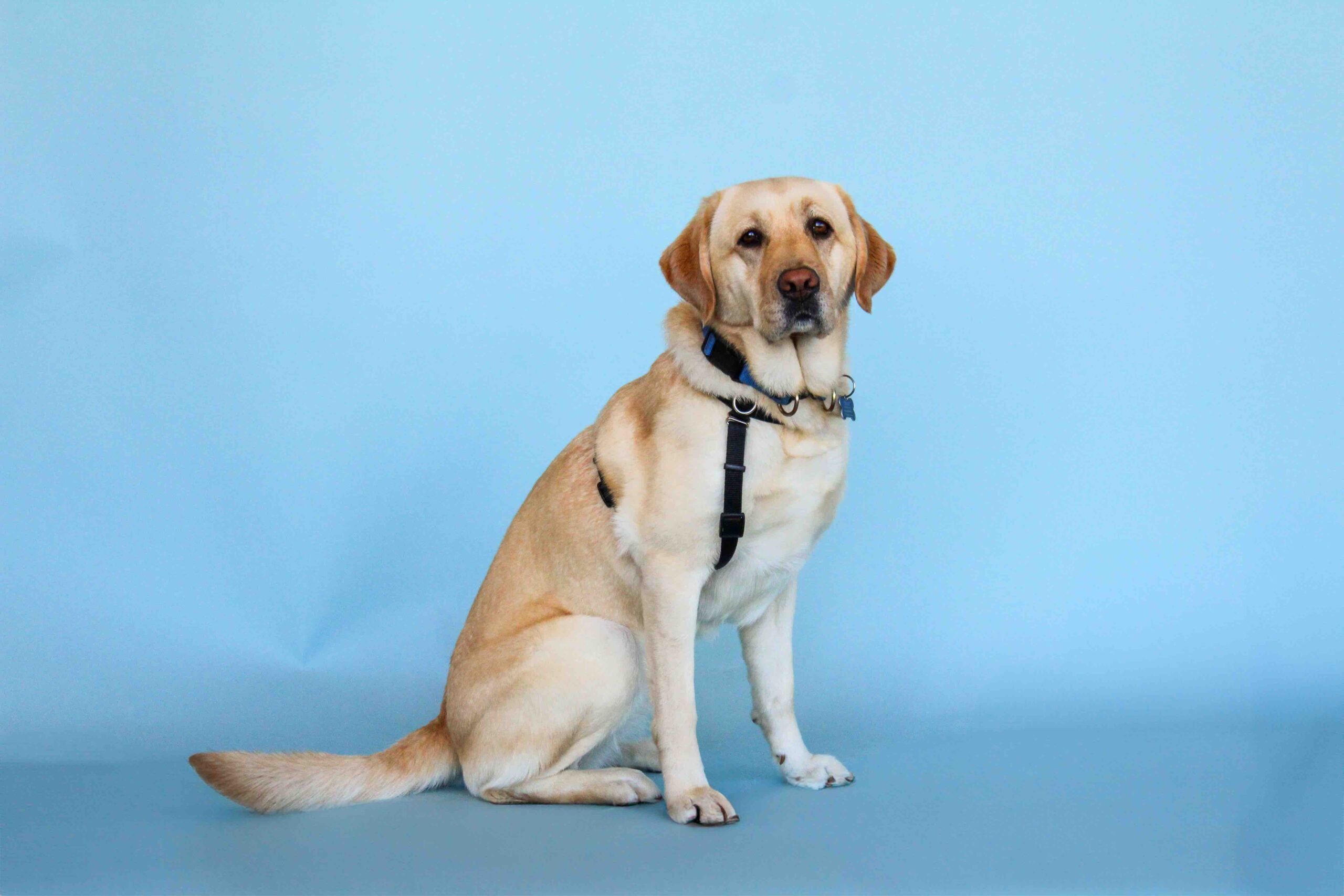 What #GivingTuesday Means for Retrieving Independence