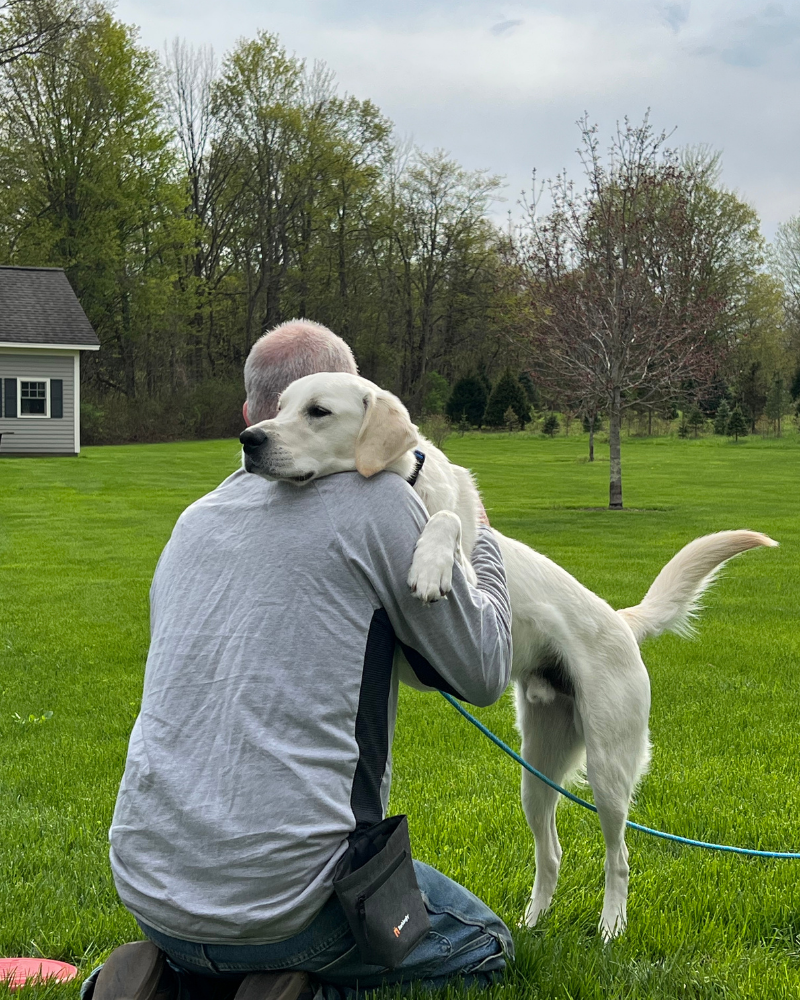 A man kneels in a grassy field. A white labrador stand with his paws and head on the man's shoulder. They are hugging each other.