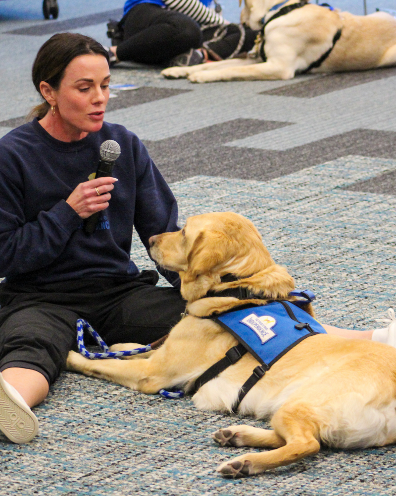 A woman is sitting on a carpeted floor, holding a microphone. She is petting a golden labrador who is wearing a blue service dog vest and laying on the floor.