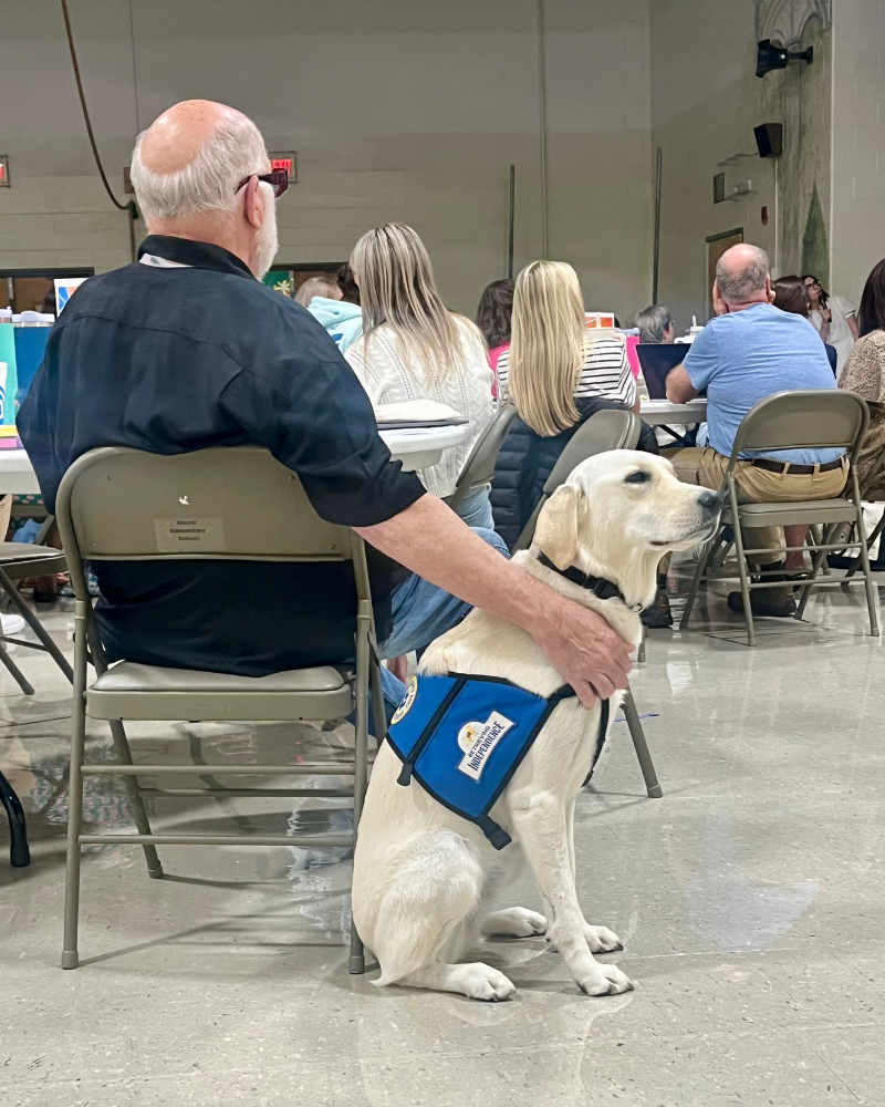 A white labrador in a blue service dog vest sits next to a man sitting in a chair. The man is petting the dog.