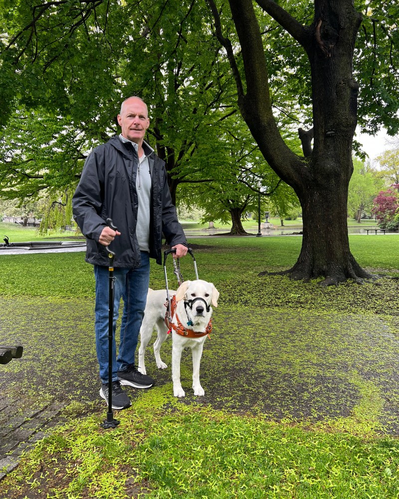 A man stands in a park with green trees and green leaves scattered all over the ground. He has a cane in one hand and is holding onto a harness attached to a dog in the other hand. The dog is a white labrador with a leather harness that has a sturdy handle attached.