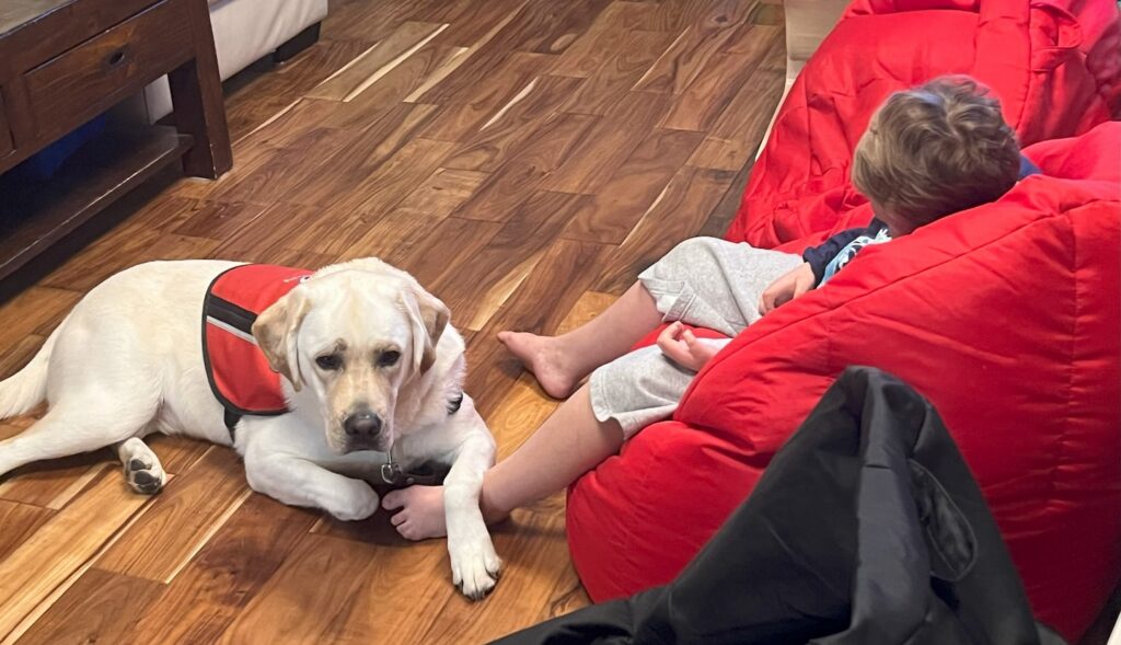 A white labrador in an orange service dog vest lays on the floor next to a child relaxing in a red bean bag chair.